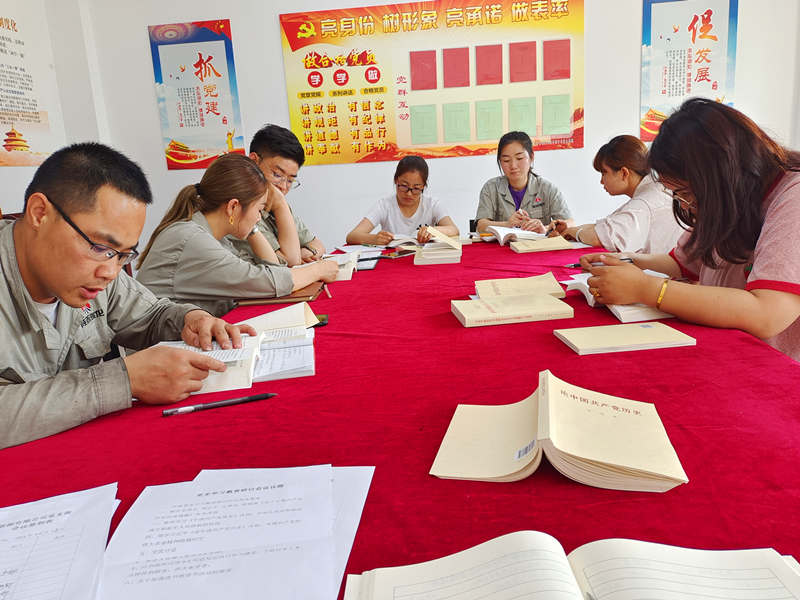 寧夏鑫爾特公司黨支部開展黨史學習研討會2.png