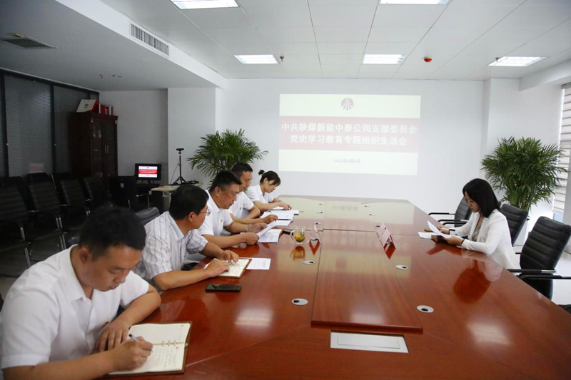 中泰公司黨支部召開(kāi)黨史學(xué)習(xí)教育專(zhuān)題.png