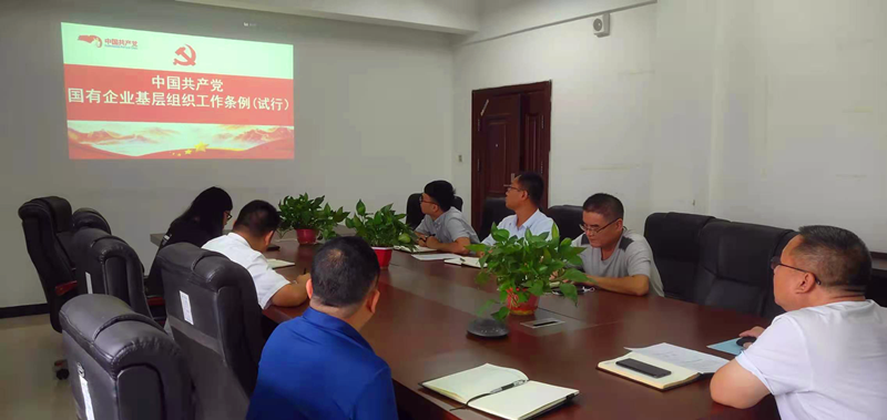 仙桃公司黨支部對《中國共產黨國有企業基層組織工作條例(試行)》進行再學習再落實.png