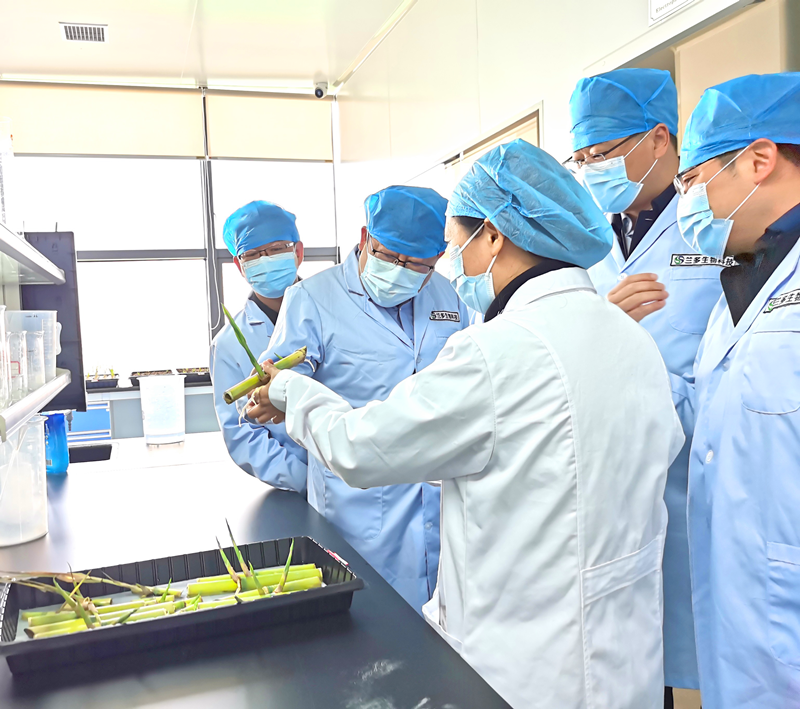 徐國強帶隊赴中國林科院林產化學研究所、蘭多生物科技等單位考察交流-配圖3.png