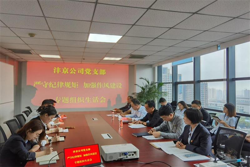 灃京公司學習黨的二十大精神助推作風建設再提升.png