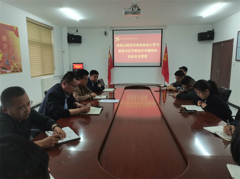 （一）公司所屬各單位迅速傳達學習新型能源公司主題教育動員會精神