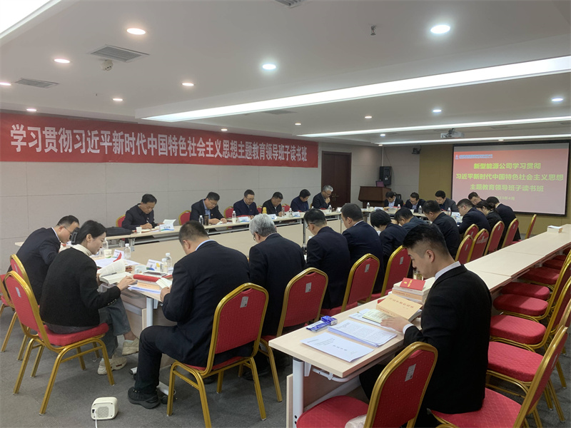 新型能源公司黨委舉辦學(xué)習(xí)貫徹習(xí)近平新時(shí)代中國特色社會(huì)主義思想主題教育領(lǐng)導(dǎo)班子讀書班