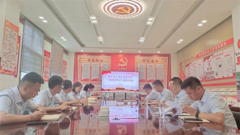 神木分公司綜合黨支部開展“強黨性，善作為”主題黨日活動.png