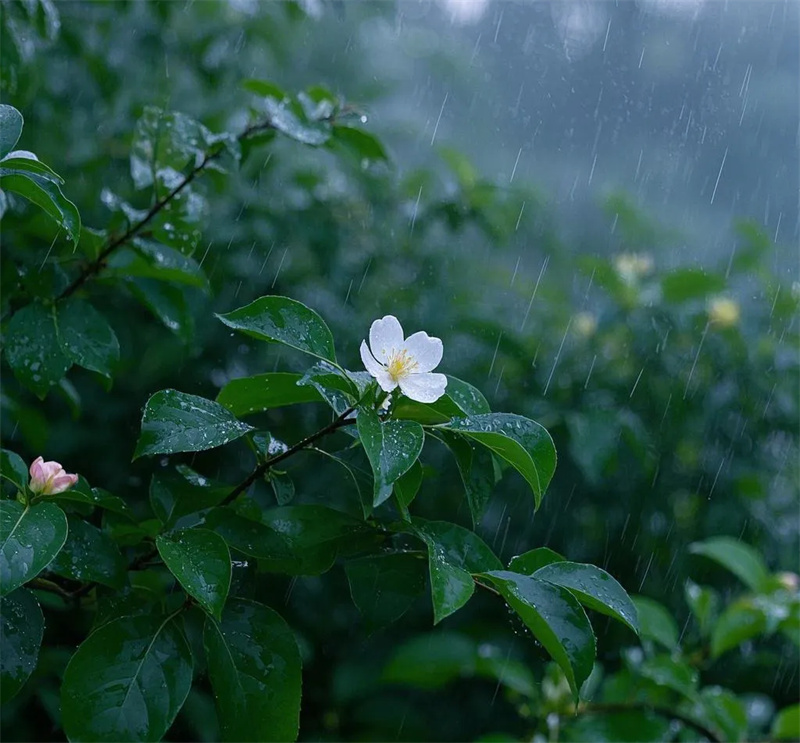 三月的雨02.jpg
